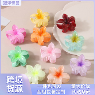 European and American Cross-border Color Plumeria Flower Hairpin Flower Grasp Clip Retro Women's Side Grasp Half Grasp Back Head Shark Clip