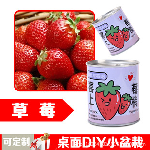 Plant Blind Box Kindergarten Gift Happy Farm Custom Cans Children DIY Planting Potted Advertising Gift