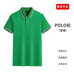Summer Lapel polo Shirt with Printed logo, Corporate Business Work Group Clothing, Printed Advertising Cultural Shirt