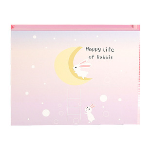 Moon Rabbit Gradient Powder Exquisite Gift Universal Packaging Box Rectangular Heaven and Earth Cover Carton Box Holiday Gift Box