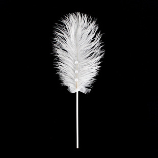 Pearl Ostrich Swan Feather Bow Ribbon Wedding Dessert Table Birthday Cake Baking Decoration Card Insert
