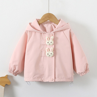 2024 new autumn children's clothing children's spring and autumn cartoon hooded coat for boys and girls baby outdoor sports leisure top