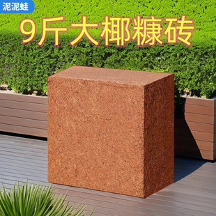 Yang Xuan Qiong Кокосовый кирпич Кокосовый кокосовый кирпич
