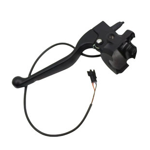 Applicable Load King Julong G7 Electric Vehicle Original Turnstile Assembly Reverse Variable Speed Double Flash Integrated Switch Turnaround