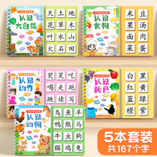 Literacy Book for Children to Recognize Words, Enlightenment, Early Education, Quiet Book, Children's Literacy Cards, Full Set of Kindergarten Baby Cognition