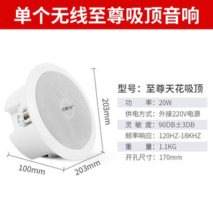 SAST (to be used with power amplifier or host) ceiling ceiling hanging speaker hanging ball