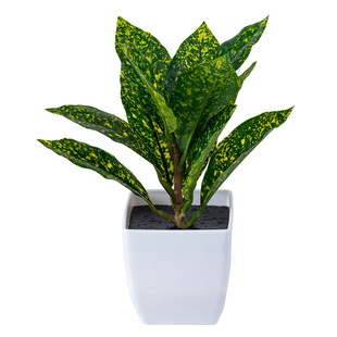 Simulation Green Plant Bonsai Artificial Flower Desk Small Potted Plant Turtle Back Potted Plant Living Room Decoration Simulation Green Plant Home Decoration