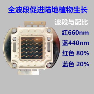 50W70W full spectrum LED integrated AT2 AT3 lamp beads water grass lamp fish tank aquarium lamp lighting algae cylinder chip