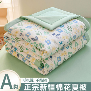 Summer Cool Quilt 100 Xinjiang Cotton Quilt Core Air-conditioning Quilt Summer Quilt Thin Quilt Dormitory Single Student Quilt Machine Washable