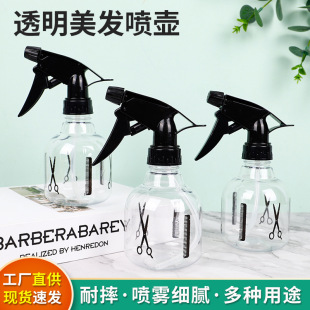 Watering Kettle, Disinfection Spray Bottle, Hairdressing Spray Bottle, Fine Mist Watering Kettle, Makeup Spray Bottle, Air Pressure Watering Kettle