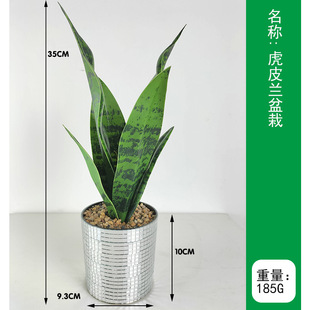 Nordic bionic plant bonsai indoor and outdoor living room decoration artificial green plant golden edge Artificial Flower artificial tiger skin orchid