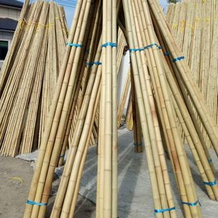 Anti-corrosion bamboo pole wholesale decorative white yellow thick and thin bamboo pole bean vegetable garden cucumber stand bamboo flagpole bamboo