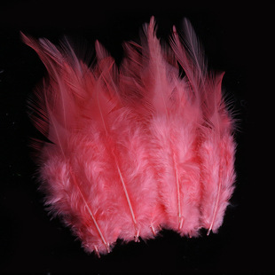 Factory supply color 4-6 white pointed feather feather 8-15cm garment accessories crafts decoration diy handmade
