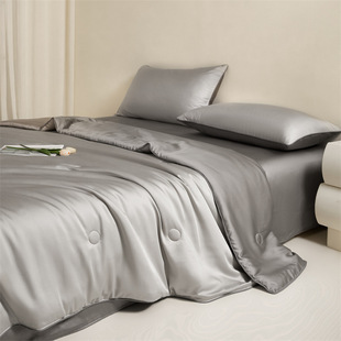 Light Luxury Tencel Lyocell Summer Quilt Four-piece Ice Silk Machine Washable Air Conditioning Quilt Double Cool Summer Quilt Wholesale