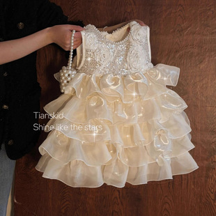 Summer New Baby Girl Clothes Western Style Cute Children's Birthday Dress Design Sense Puffy Cake Dress Trendy