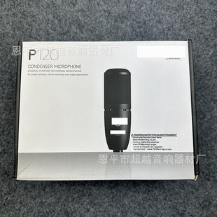 P120 professional wired microphone microphone stage home karaoke microphone microphone dynamic coil wheat