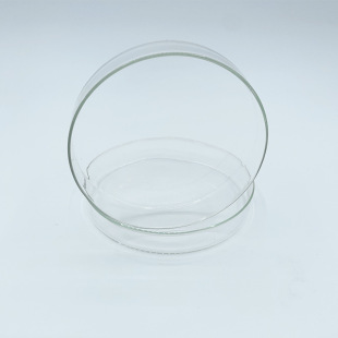 glass petri dish cell bacterial culture medium experimental equipment biological teaching laboratory