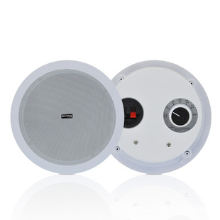 Fixed pressure input with power Selection source factory direct pp basin fixed pressure high sound quality full frequency active wireless ceiling Bluetooth