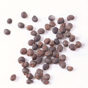 Wholesale Kapok Seeds Beautiful Kapok Seeds Tree Seeds Street Trees Park Greening Seedlings Seeds