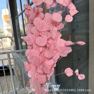 Eternal Apple Eucalyptus Round Leaf Eucalyptus Leaves Eucalyptus Leaves Apple Leaves Yunnan Eternal Flower Preserved Flowers Matching Wedding Decoration