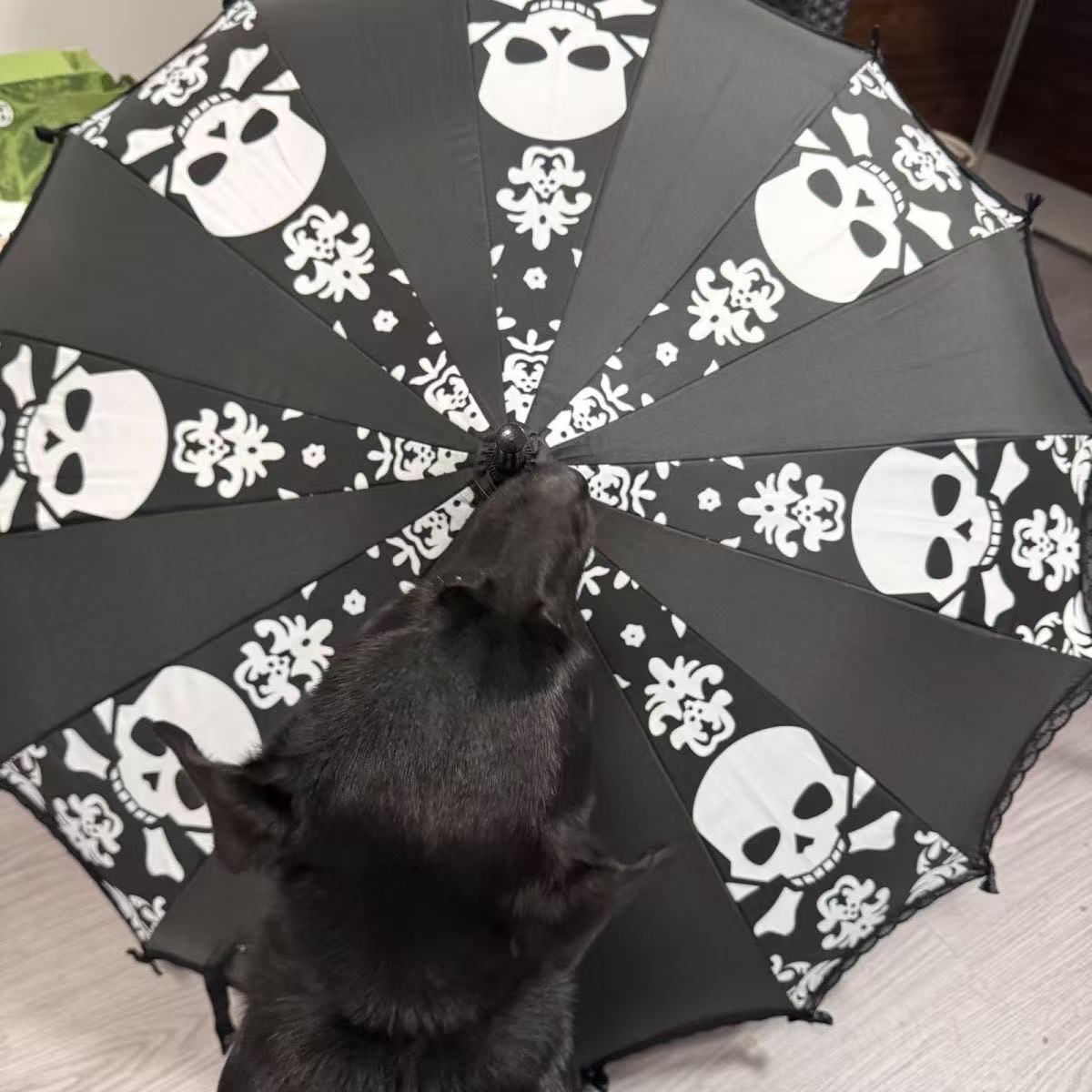 Amazon 16-Bone Pagoda Umbrella Halloween Dark Style Skull Manual Long-Handle Umbrella Decorative Umbrella Pagoda Umbrella