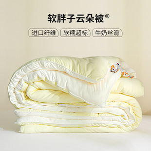 Class A winter quilt mother and child antibacterial Cat soft fat super soft quilt spring and autumn quilt core thickened warm bedding