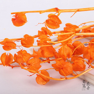 Eternal Flower Lantern Fruit Wind Bell Fruit Wedding Decoration Bedroom Bouquet Space Display Home Props Decorative Set