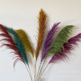 [Color Reed Bamboo] Colorful Reed Iron Rod Reed Hard Rod Reed Bamboo Wholesale Wedding Store Layout Reed