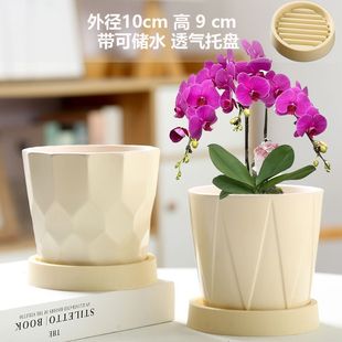 Ceramic Flower Pot Nordic Household Simple Ins Style Light Luxury Cream Style Phalaenopsis Fleshy Green Plant Bonsai Pot
