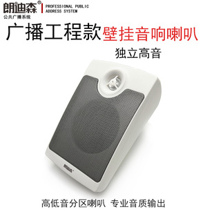 Longdisen public broadcasting 10W constant pressure audio background sound column speaker campus Mercedes-Benz standard wall hanging speaker