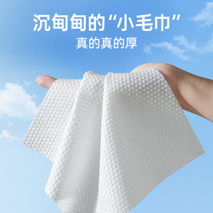 Pet Wet Wipes 80 Cats and Dogs Wipe Tears to Clean Body Parts Disposable Deodorant Wet Wipes
