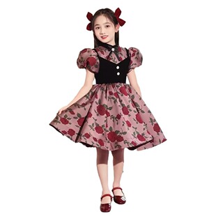 Girl's Dress Flower Girl's Wedding Girl's Princess Dress 2024 New Children's Piano Performance Dress Host