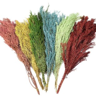 Melaleuca Gold Dried Flower Eternal Flower Handmade DIY Leaf Material Wedding Flower Arrange Aromatherapy Candle Hand Gift Dried Flower Material Bag