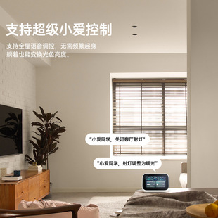 Smart little love voice deep anti-glare spotlight graffiti APP stepless dimming color high display washing wall lighting without main lamp