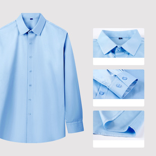Spring and Autumn New Men's Elastic Business Non-ironing Long-sleeved Shirt Simple Casual Solid Color Mulberry Silk Craft Shirt