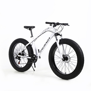 Factory Direct Sales 26-inch high carbon steel variable speed off-road 4.0 wide tire shock absorption double disc brake Beach bicycle