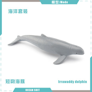 Simulation marine animal model suit whale shark dolphin turtle sea lion chrysanthemum stone desktop decoration