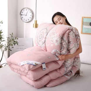 [] quilt winter quilt thickened warm quilt core winter quilt spring and autumn quilt single double student sulian strict