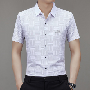 Live Summer Men's Short-sleeved Shirt Summer Business Casual Ice Silk Seamless Non-ironing Middle-aged and Young Men's Half-sleeved Shirt