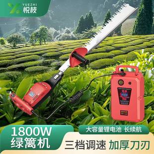 48V high-power old tea tree trimmer rechargeable electric hedge trimmer lithium battery greening garden repair wholesale