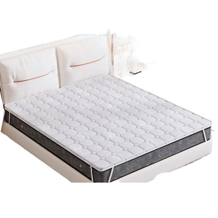 Soft mattress plus hard artifact coconut palm thin waist ridge 3cm tatami natural hard mat for the elderly and children manufacturers a piece