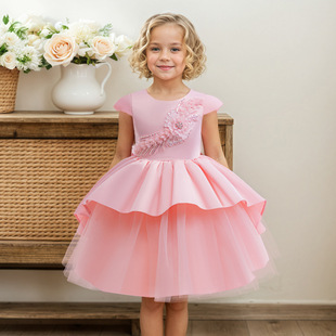 Cross-border 2025 New Children's dress 3D Three-dimensional Embroidered Dress Girl's Mesh Dress Flower Children's Dress Princess Dress