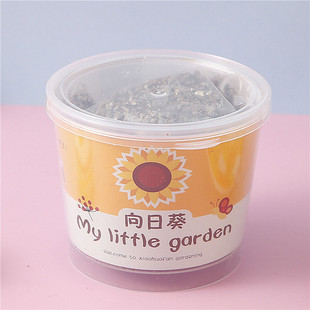 Children Plant Small Potted Plants in Kindergarten Sunflower Plants Students Observe Green Plant Seed Box DIY Mini Blind Box