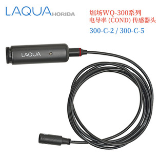Japan HORIBA Horifield WO-300 Series Digital CONDuctivity Sensor COND Sensor Box 300-2c-c