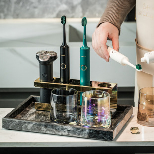 Simple Electric Toothbrush Storage Rack Nordic Ins Light Luxury Washstand Washing Cup Toothpaste Dental Storage