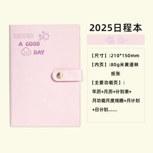 A5 New 2025 Day Book Efficiency Office Self-discipline Plugin Notebook Daily Plan Work Notepad