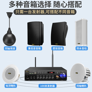 ABZ wireless bluetooth ceiling audio ceiling ceiling speaker wall-mounted speaker outdoor waterproof sound column hanging ball shop