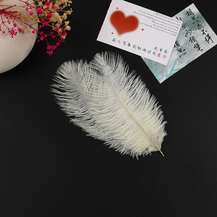 floral decoration ostrich feather color feather flower packaging materials bouquet accessories florist supplies package flower collocation