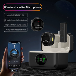Professional Q8 Wireless Lavalier Microphone Type-C/Ios Outdoor Interview Live Broadcast Singing 2in1 Microphone