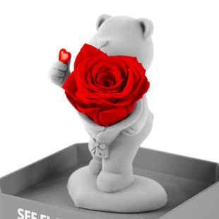 Cross-border Amazon Eternal Rose acrylic gift box flocking bear one-piece delivery Valentine's Day gift for girlfriend